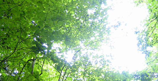 Slideshow Image 2