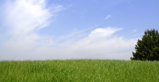 Slideshow Image 4